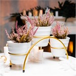 цветочница цв.золото