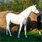 Фигура Конь из стеклопластика U07494-W высота 190 см цвет белый U07494-W - фото 121047