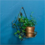 на одно растение