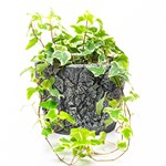 декоративное кашпо