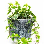 кашпо для дома