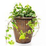 Кашпо Плетёное U09457 из полистоуна, высота 27 см, диаметр 20 см U09457 - фото 121507