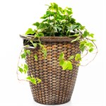 плетёное кашпо под ротанг