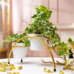 на три кашпо