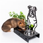 с мисками для животных