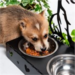 для корма животным