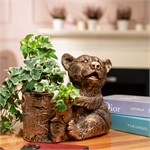 кашпо в подарок