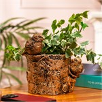 интерьерное кашпо