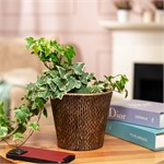 стильное кашпо для растений