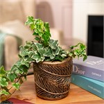 кашпо из искусственного камня