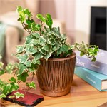 кашпо из искусственного камня