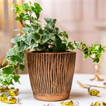 стильное кашпо