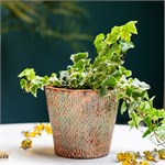 кашпо под бронзу для растений