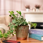 стильное интерьерное кашпо