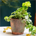 стильно кашпо в подарок близким