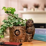 купить  кашпо