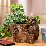 интерьерное кашпо сова