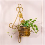 система вертикального озеленения