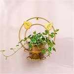 подставка настенная для одного растения 150-220R