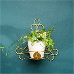 настенная цветочница