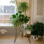 Стойка для цветов лофт 66-426 66-426 - фото 122073