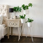 Подставка для цветов лофт 66-425 66-425 - фото 122127