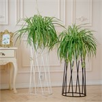 Напольная подставка для цветов цв.белый 66-405 d=22см 66-405 - фото 122154