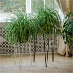 Подставка для цветов 66-434 66-434 - фото 122188