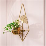 на одно растение