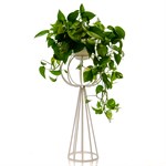 подставка для цветочных салонов