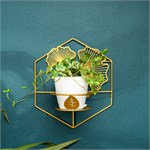 на одно растение