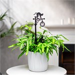 для растений