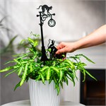 кошка с собакой