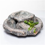 фонтан с клумбой