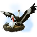 Гнездо с аистами F07731