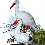 Аисты на железных ногах