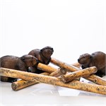 семья бобров