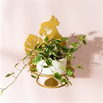 подставка попугай