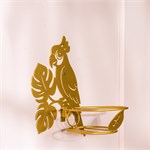 настенное расположение растений