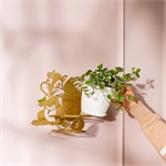 для одного растения