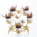 с декором бабочки