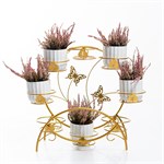 с декором бабочки