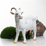 садовый декор для дачи