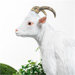 фигура для ландшафтного оформления