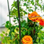 разборная конструкция