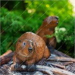 крышка для декора в саду