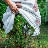 колпак для защиты растений