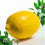 Рекламная фигура Лимон U09514 стеклопластик 76*52*52 см U09514 - фото 127403