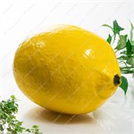 Рекламная фигура Лимон U09514 стеклопластик 76*52*52 см U09514 - фото 127405