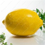 Рекламная фигура Лимон U09514 стеклопластик 76*52*52 см U09514 - фото 127406